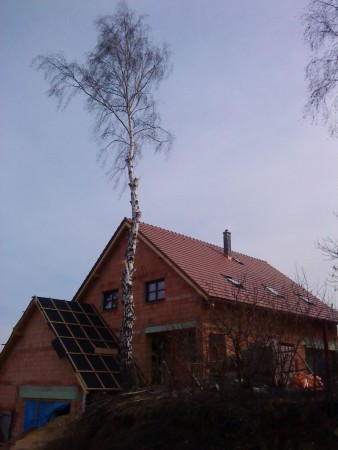 řezání větví stromů